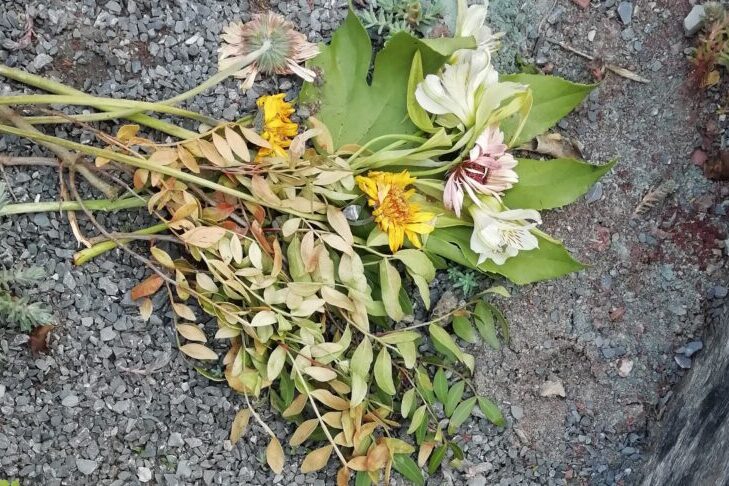 Blumen auf dem Grab