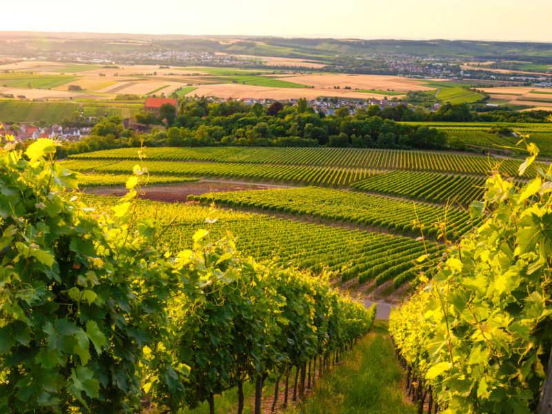 Cleebronn im Zabergäu